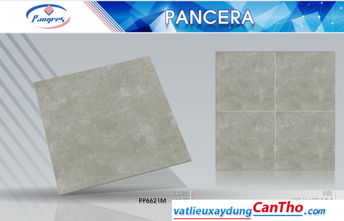 Pancera PP 6621